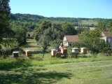 Aout-Récolte miel 1
